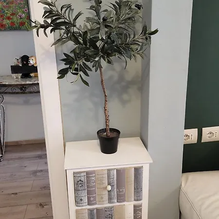 Kalpazo Stadiumi 招待所 地拉那