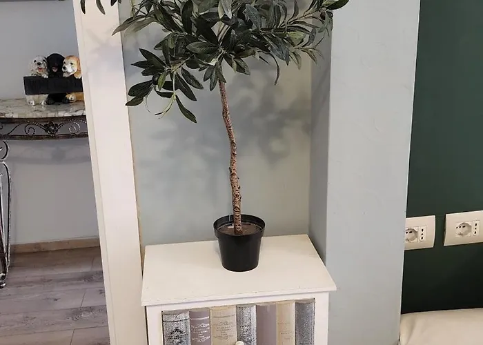 Kalpazo Stadiumi Pensión Tirana